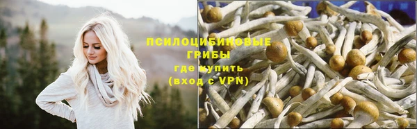индика Волоколамск