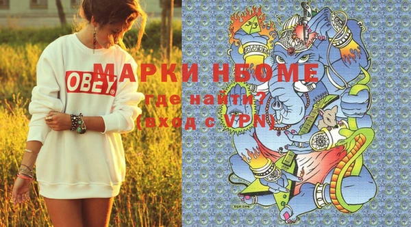 индика Волоколамск
