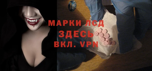 индика Волоколамск