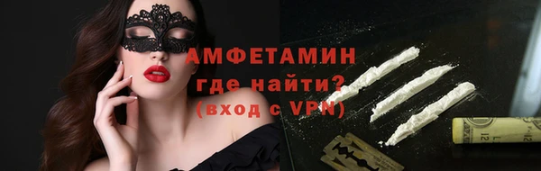 индика Волоколамск