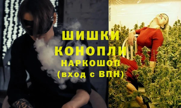 индика Волоколамск