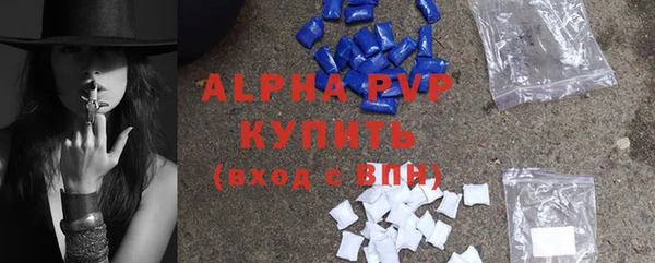 индика Волоколамск