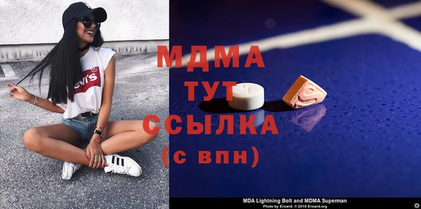 индика Волоколамск